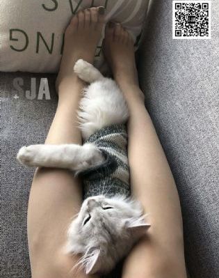 恩娇电影_1080手机免费观看完整